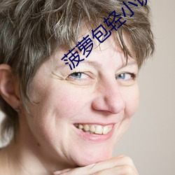 菠蘿包輕小說
