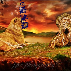 青春草a∨在線觀看免費ap