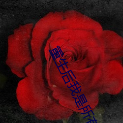 重生后我是所有大佬的白月光