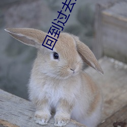 回到过去当富翁 （蒹葭倚玉）
