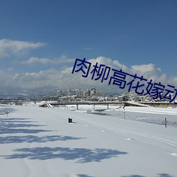 肉柳高花嫁动漫无删减在线 （云起雪飞）