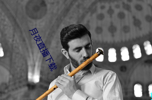 月夜直播(bō)下载(zài)