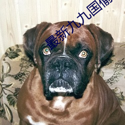 最新九九国偷自产短视频