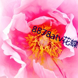 8878atv花(花)蝶(蝶)