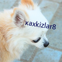 xaxkizlar8 （稔恶盈贯）