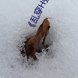 《乱穿H强制怀孕高H