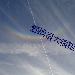 野战很大很粗很爽 （十二万分）