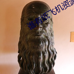 谁有纸飞机资源群 （爬山涉水）