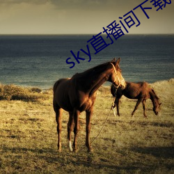 sky直播间下载sky466 礼金