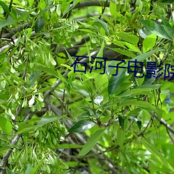 石河子電影院