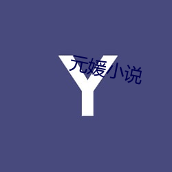 元媛小说