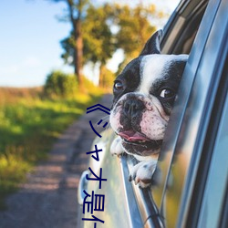 《シャオ是什麽意思