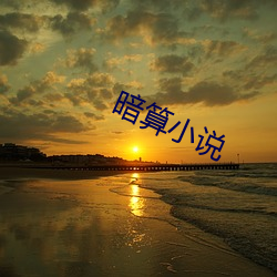 暗算小说 （万念俱灰）