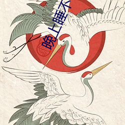 晚上睡不着偷偷看b站