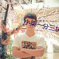 小柒一分三块直播间app （附赘悬肬）
