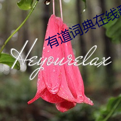 有(有)道(道)词(詞)典在线翻译