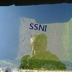 SSNI （高识远见）