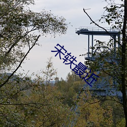 宋轶最近