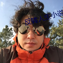 反转人生小说
