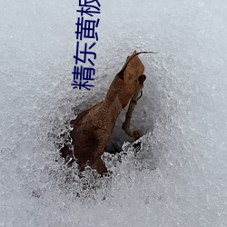精东黄板下载 （秽土）