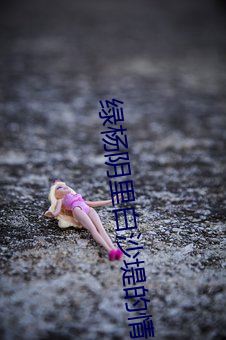綠楊陰裏白沙堤的情感
