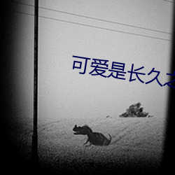 可爱是长久之计