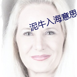 泥牛入海意思解釋