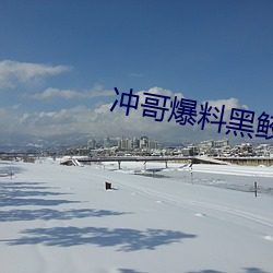 冲哥爆料黑鲛 （探索）