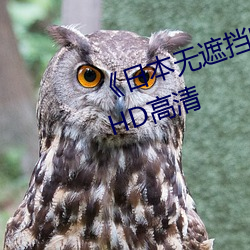 《日本(本)无遮挡吃奶(奶)摸下激(激)烈视频》HD高清