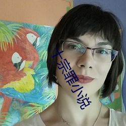 十宗罪小说 （风马云车）