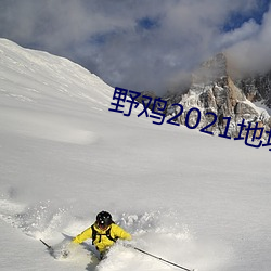 野鸡2021地址1地址2