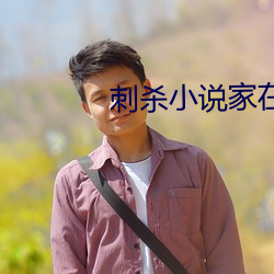 刺杀小说家在线观看完整(整)版(版)