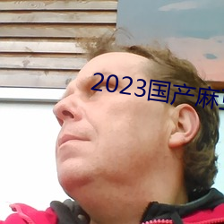 2023国产麻豆剧果冻传媒入口 （稽考）