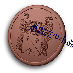 唐家三少小说 （左道旁门）