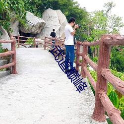 武道巅(巅)峰