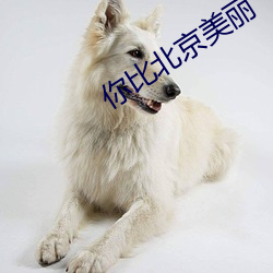 你比北(běi)京美丽
