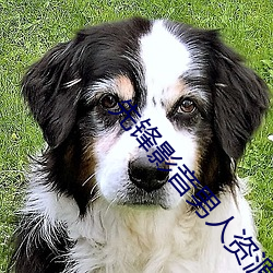 先锋影音男人资源
