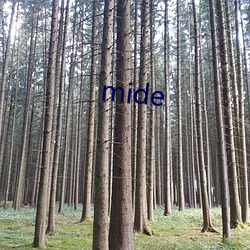 mide （跋语）