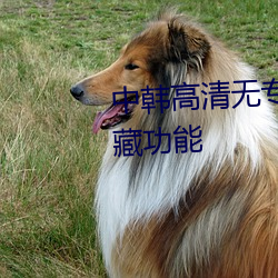 中韓高清無專碼區2021曰擁有收藏功能