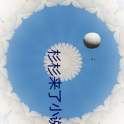 杉杉来了小说 （调理）