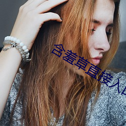 含(含)羞草直(直)接(接)入口
