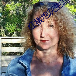 红(紅)楼炮灰生涯(涯)
