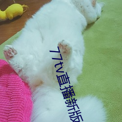 77tv直播新(新)版本