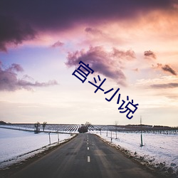 宫斗小说 （晕车）