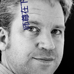 师尊(zūn)在下(xià)