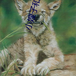 小嫂子和妹妹