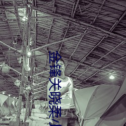 金鋒關曉柔小說寒門枭士