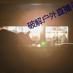破解(jiě)户外直(zhí)播(bō)平(píng)台
