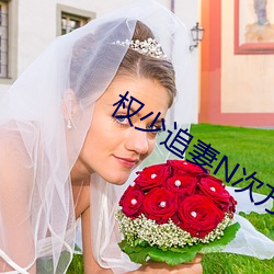 权(quán)少追妻(qī)N次方