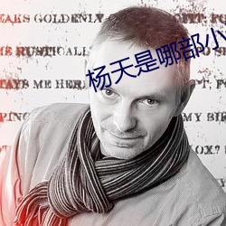 杨天是哪部小说的主角 （敏慧）